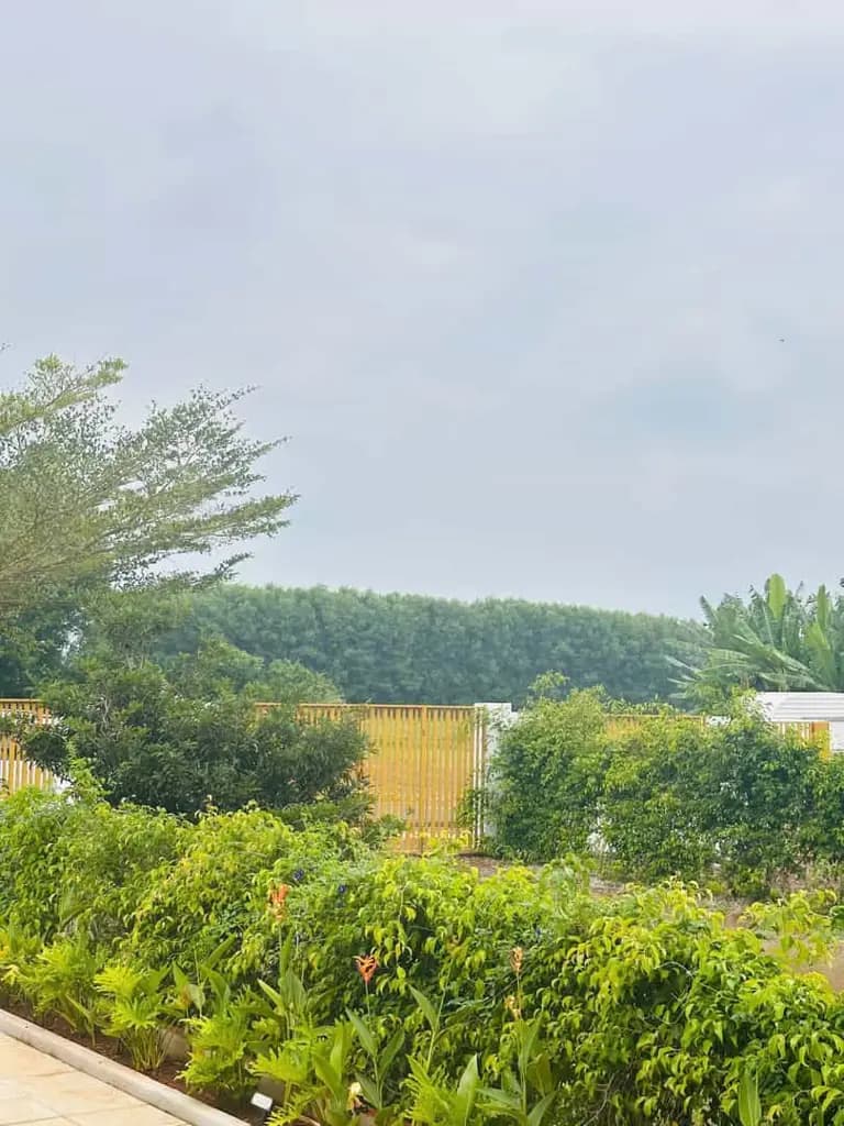 Main-BỎ PHỐ VỀ VƯỜN - SỞ HỮU BIỆT THỰ XANH GREENERGY HOUSE LONG TÂN BRVT-2