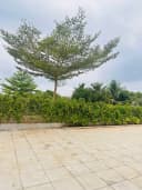 Thumb-BỎ PHỐ VỀ VƯỜN - SỞ HỮU BIỆT THỰ XANH GREENERGY HOUSE LONG TÂN BRVT-4