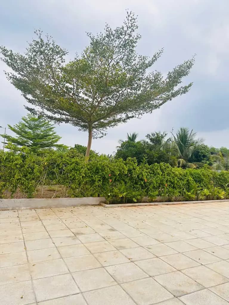 Main-BỎ PHỐ VỀ VƯỜN - SỞ HỮU BIỆT THỰ XANH GREENERGY HOUSE LONG TÂN BRVT-3