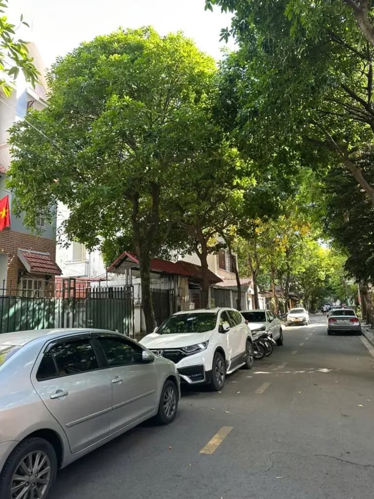 Main-Cho thuê Biệt thự cực đẹp tại Vũ Hữu , Hà Nội-4