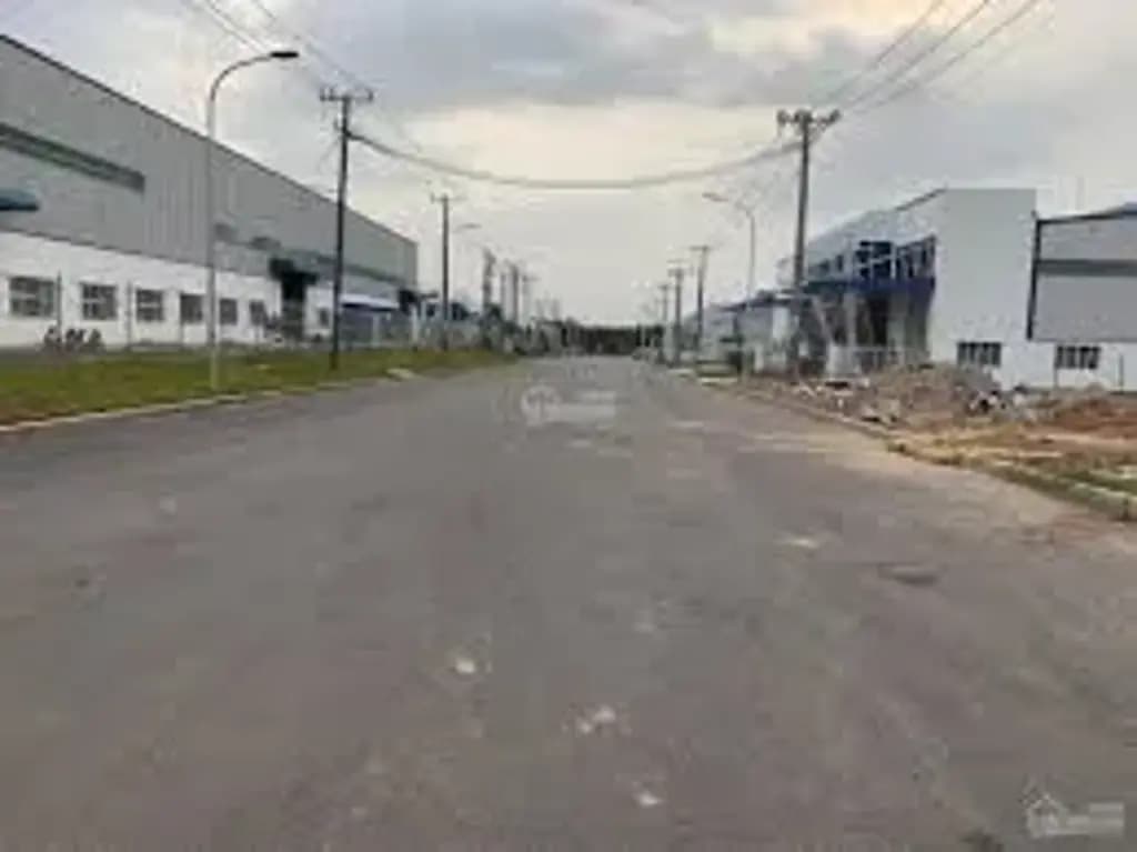 Main-CHỦ GỬI 1000M2 ĐẤT TC CÓ SẴN VƯỜN MÍT ĐANG THU HOẠCH CẠNH CHỢ VÀ UBND CHỈ 550TR-6