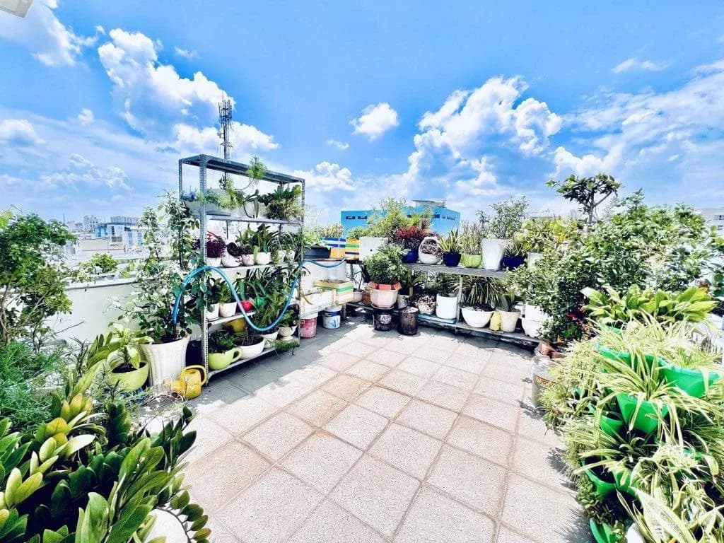 Main-182- ) Bán Nhà riêng 82m2 có sẵn 69 m2 thổ cư giá 12.5 tỷ tại Phường 15 Quận Tân Bình TP. Hồ Chí Minh-6