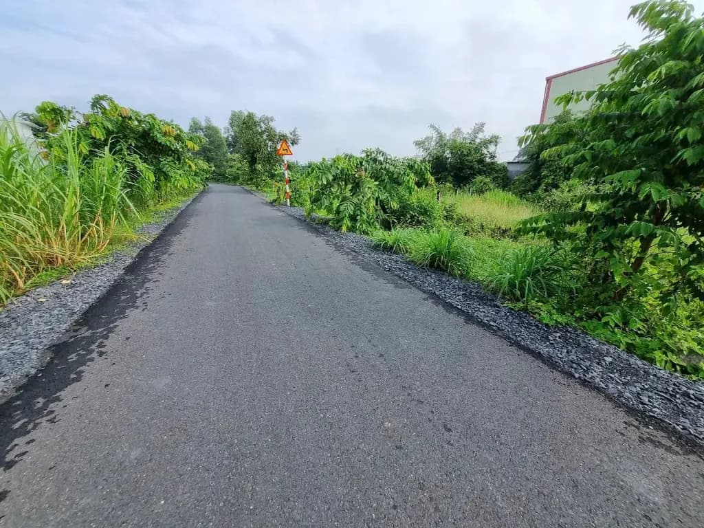 Main-Bán Đất 267m2 giá 1.4 tỷ tại Đường Ba Sa Xã Tân An Hội Huyện Củ Chi TP. Hồ Chí Minh-1