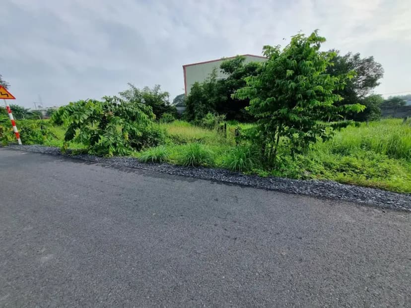 Bán Đất 267m2 giá 1.4 tỷ tại Đường Ba Sa Xã Tân An Hội Huyện Củ Chi TP. Hồ Chí Minh