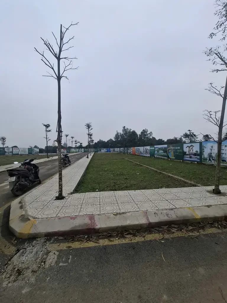 Main-BÁN ĐẤT TRẠI HỒ – ĐOÀI PHƯƠNG | GIÁ 2,5 TỶ/100M²-3