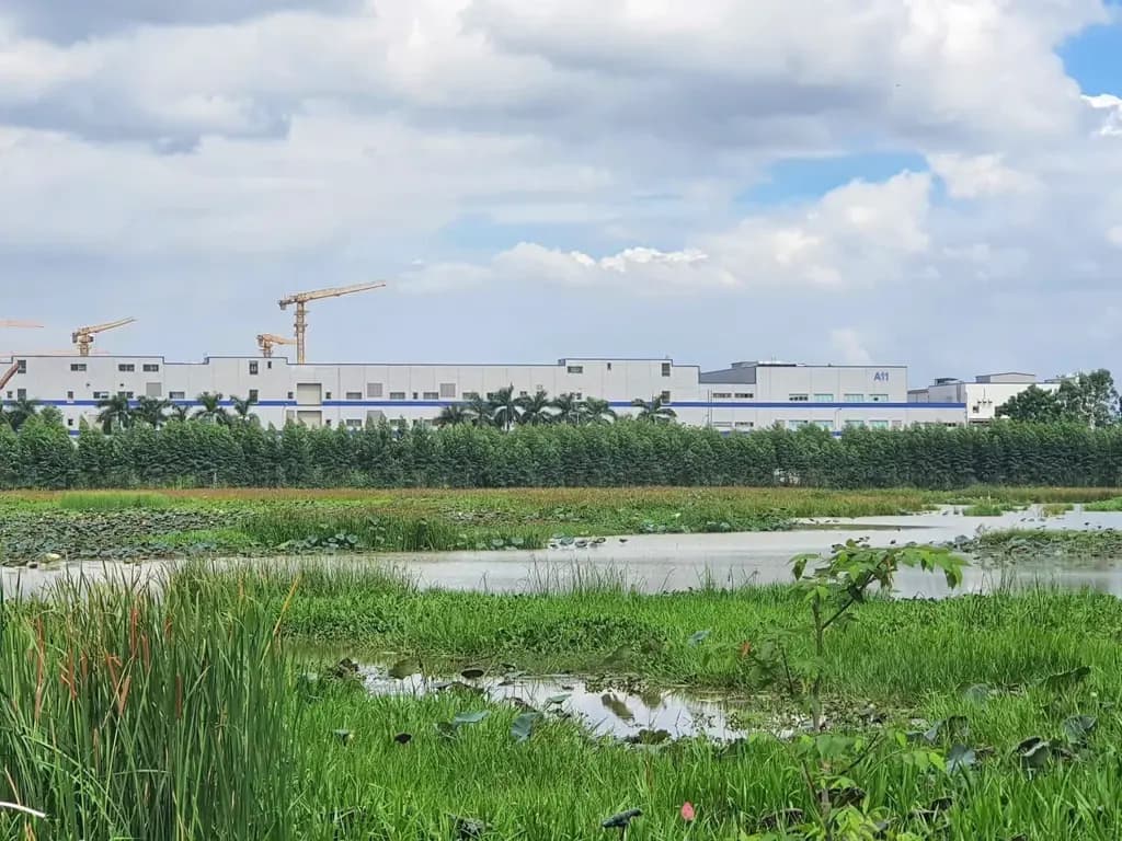 Main-Bán Đất Mặt Hàng Cây Đồng Nhỏ - Xã Quang Châu Huyện Việt Yên Bắc Giang-2