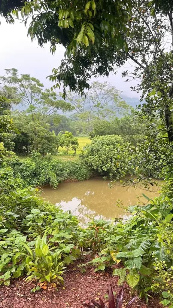Main-🔥 HOT!!!🌿 Lô đất siêu rộng gần 1 ha, có 1.162,3 mét vuông đất ở tại xã Đại Phúc, tỉnh Thái Nguyên 📲 LH: 0335:923:629-5