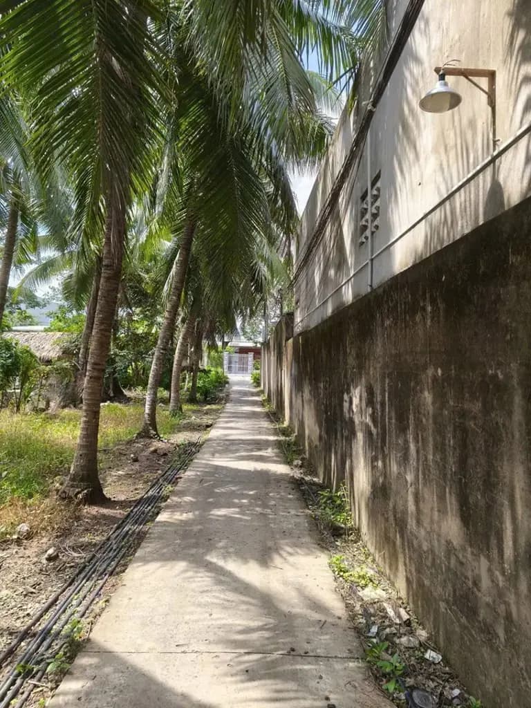 Main-Cho thuê Mặt bằng kinh doanh 500m2 giá 13 triệu tại Đường Nguyễn Thị Định Xã Phú Hưng Thành phố Bến Tre Bến Tre-1