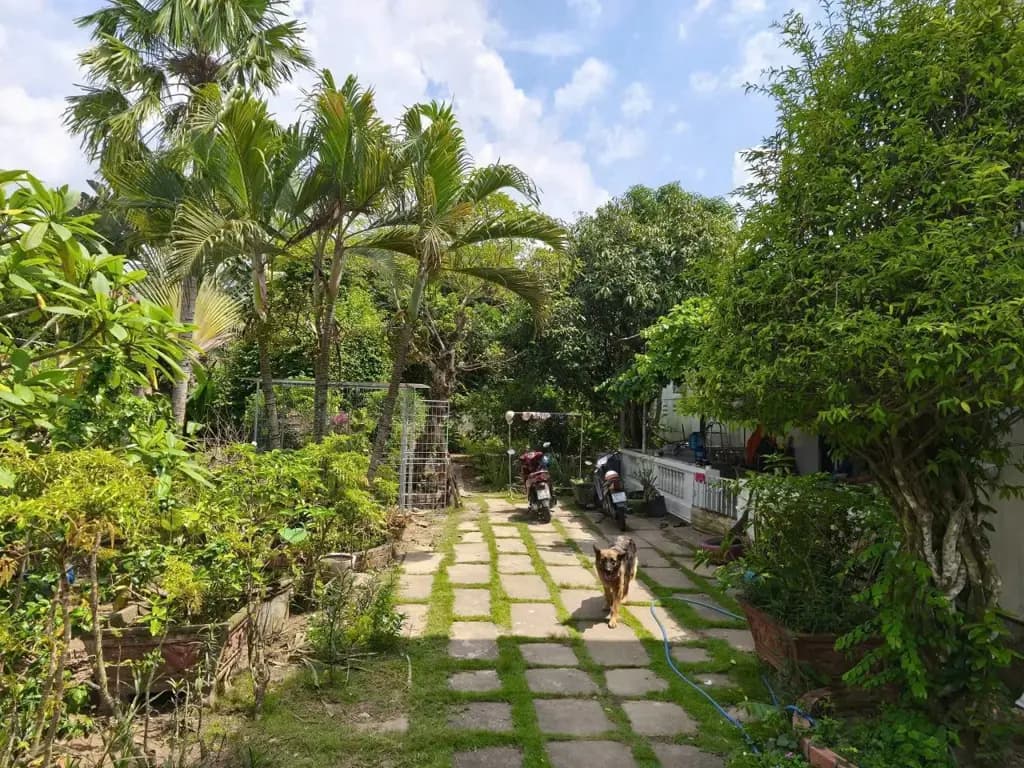 Main-Cho thuê Mặt bằng kinh doanh 500m2 giá 13 triệu tại Đường Nguyễn Thị Định Xã Phú Hưng Thành phố Bến Tre Bến Tre-3