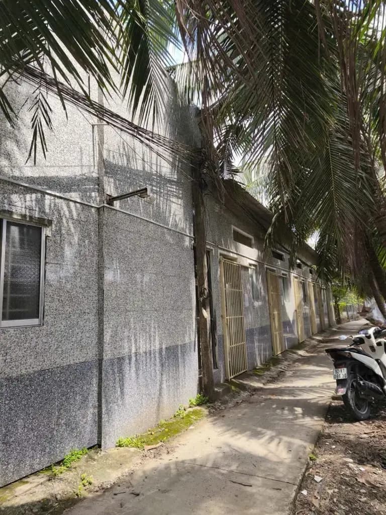 Main-Cho thuê Mặt bằng kinh doanh 500m2 giá 13 triệu tại Đường Nguyễn Thị Định Xã Phú Hưng Thành phố Bến Tre Bến Tre-4