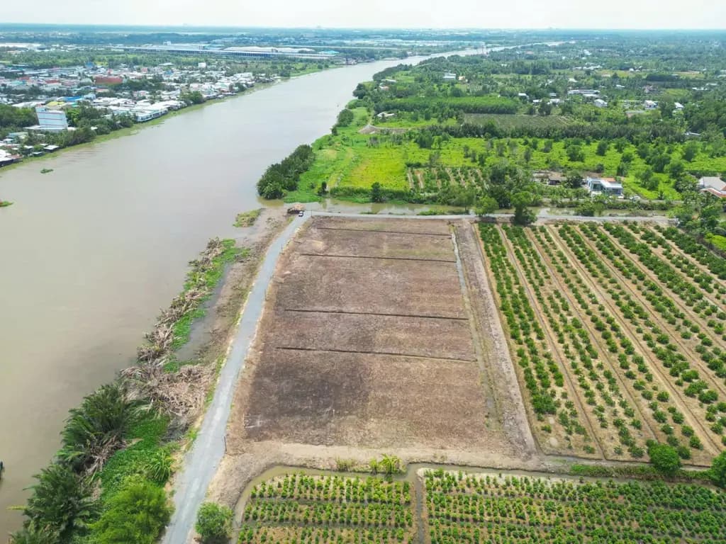 Main-Bán Đất 9300m2 giá 14.9 tỷ tại Xã Thạnh Lợi Huyện Bến Lức Long An-8