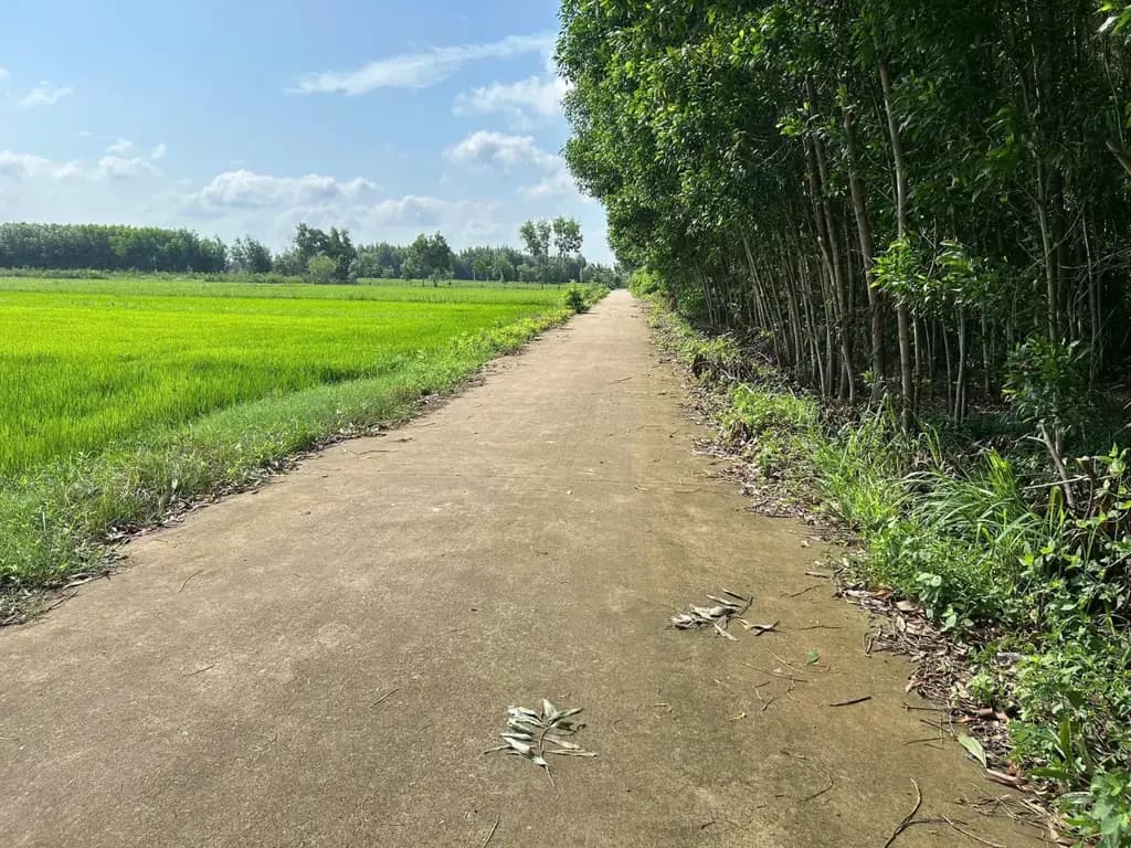 Main-CHÍNH CHỦ CẦN BÁN ĐẤT CHÂU PHA - PHÚ MỸ (BR-VT)- Sát KCN Sonadezi-2
