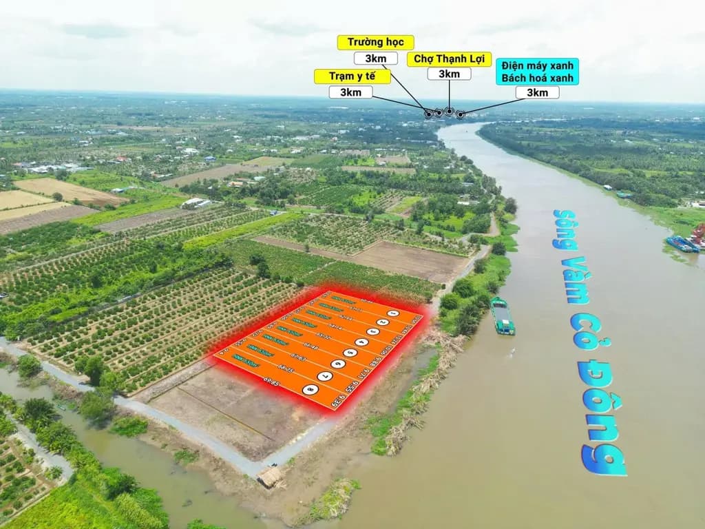 Main-Bán Đất 9300m2 giá 14.9 tỷ tại Xã Thạnh Lợi Huyện Bến Lức Long An-5
