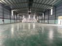 Thumb-CHO THUÊ XƯỞNG THUẬN AN_BÌNH DƯƠNG-3