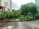 Thumb-Bán Tòa nhà - Building 103m2 có sẵn 103 m2 thổ cư giá 1.05 tỷ tại Xã Song Liễu Huyện Thuận Thành Bắc Ninh-2