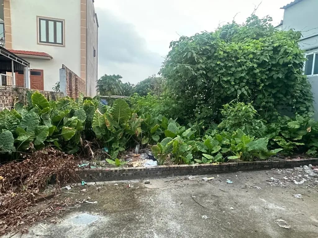 Main-Bán Tòa nhà - Building 103m2 có sẵn 103 m2 thổ cư giá 1.05 tỷ tại Xã Song Liễu Huyện Thuận Thành Bắc Ninh-1