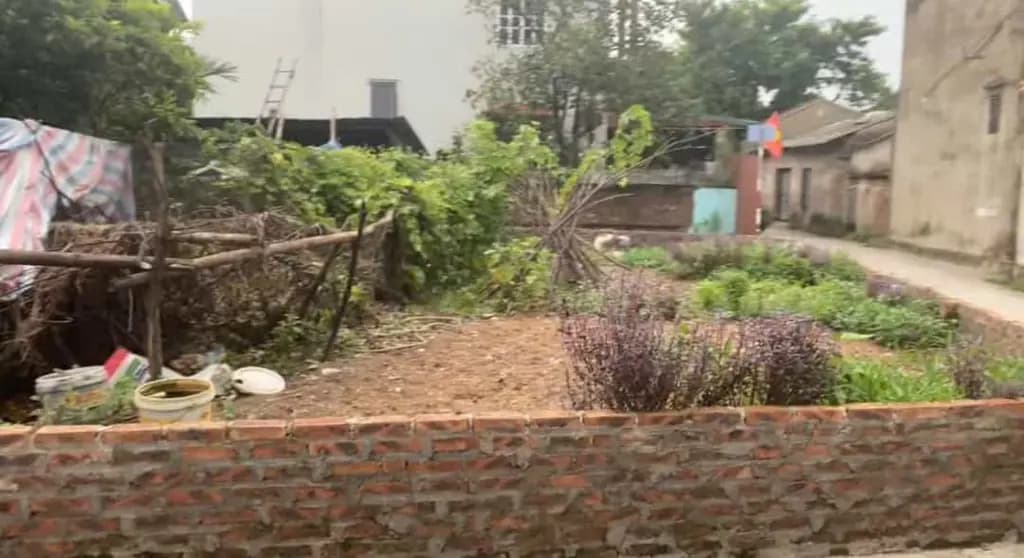 Main-Chính chủ cắt bán 100m2 đất (3 mặt đường) thuộc Khu D - Vinhomes Olympic-3