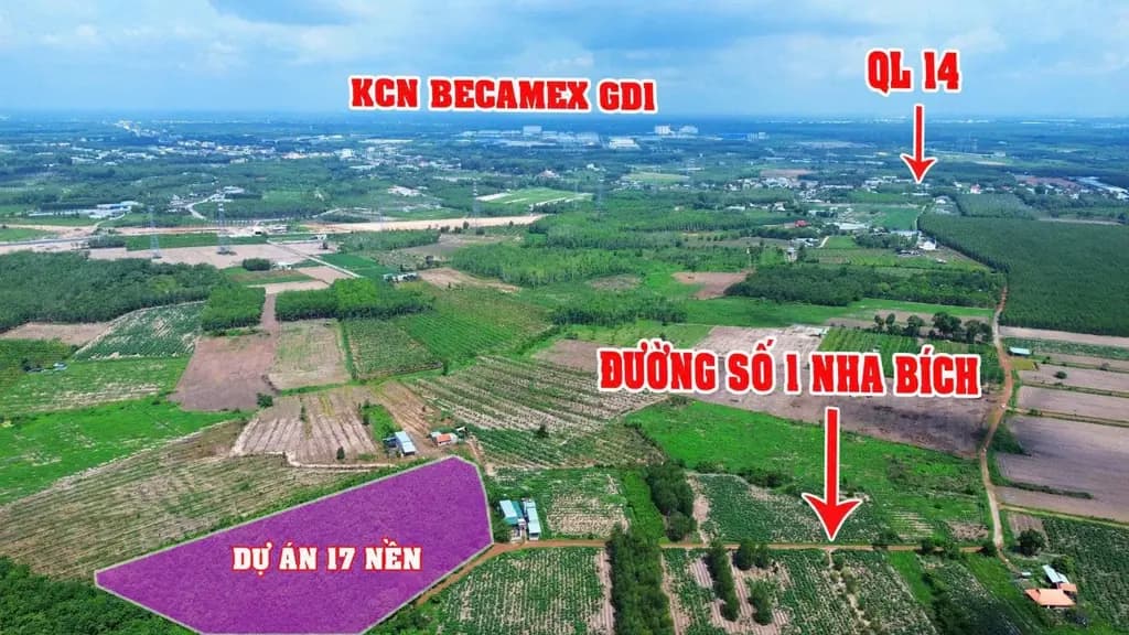 Main-Bán Đất 166m2 có sẵn 100 m2 thổ cư giá 390 triệu tại Xã Nha Bích Thị xã Chơn Thành Bình Phước-2