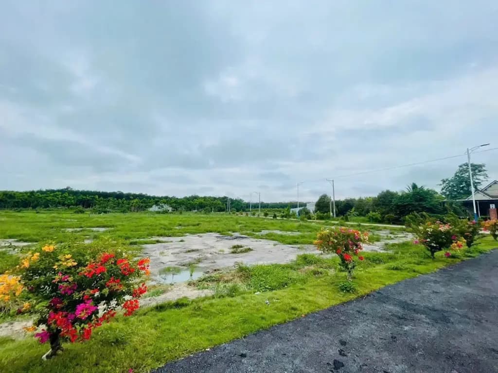 Main-Bán Đất 250m2 có sẵn 50 m2 thổ cư giá 400 triệu tại Đường Mai Thúc Loan Xã Tân Lập Huyện Đồng Phú Bình Phước-0