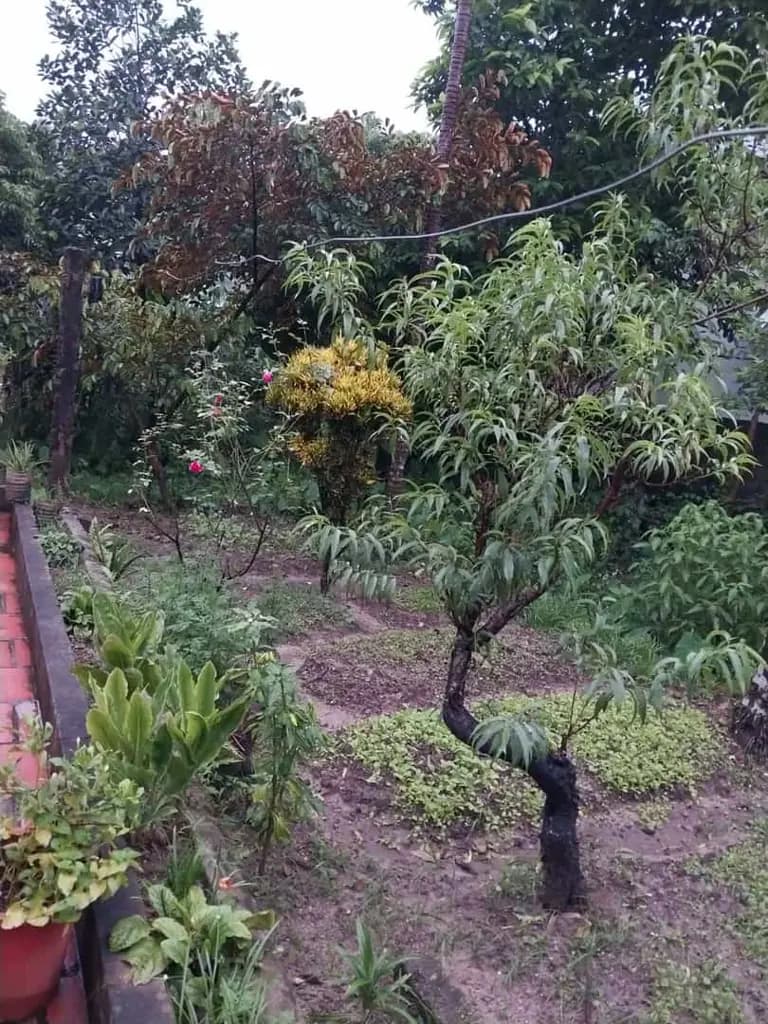 Main-Bán Đất thổ cư - Thái Nguyên-4