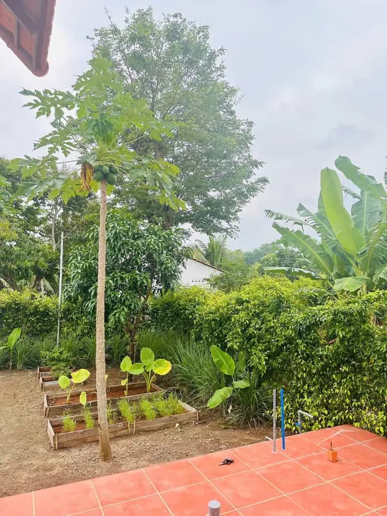 Chỉ Một Lô Duy Nhất - 400M² Mặt Tiền Đường 11M Tại Greenery House Long Tân