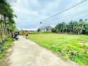 Thumb-2 LÔ LIỀN KỀ 300M2 BIỆT THỰ NHÀ VƯỜN GIÁ CHỈ NHỈNH 600 TRIỆU/LÔ-3