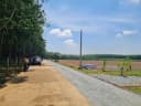 Thumb-Bán Đất 165m2 có sẵn 50 m2 thổ cư giá 320 triệu tại Đường D11 Xã Tân Phước Huyện Đồng Phú Bình Phước-2