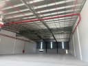 Thumb-Cho thuê 1.100m2, 2.200m2, 4.4400m2 đến 50.000m2 Xưởng mới KCN Bình Dương, SX đa ngành nghề-5