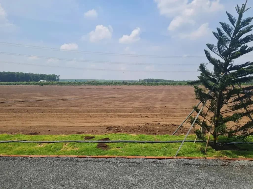 Main-Bán Đất 165m2 có sẵn 50 m2 thổ cư giá 320 triệu tại Đường D11 Xã Tân Phước Huyện Đồng Phú Bình Phước-2