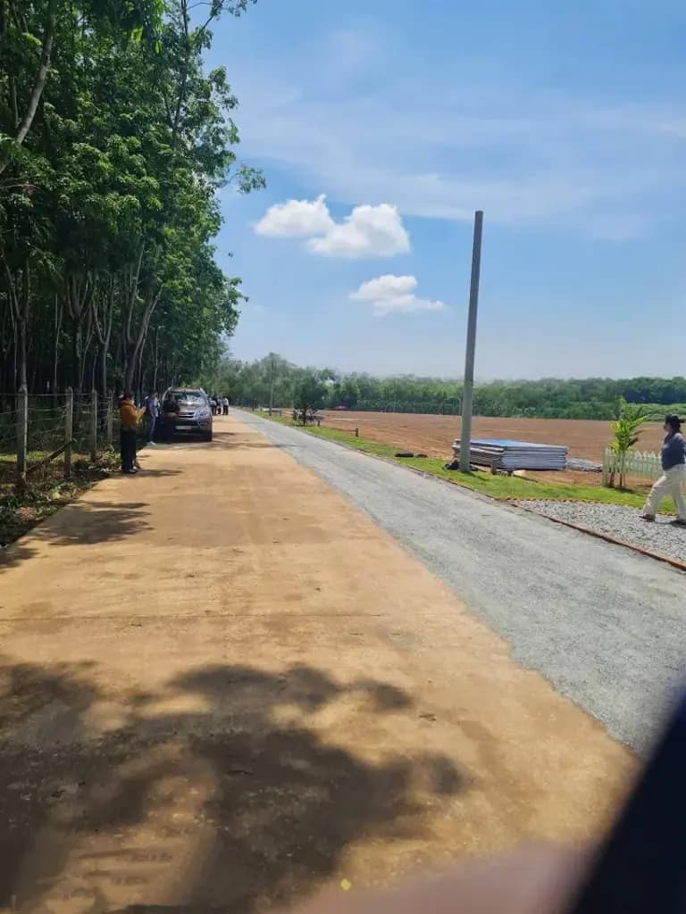 Bán Đất 165m2 có sẵn 50 m2 thổ cư giá 320 triệu tại Đường D11 Xã Tân Phước Huyện Đồng Phú Bình Phước