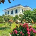 Thumb-Cho thuê Nhà riêng 1040m2 giá 15 triệu tại Phường Phú Tân Thành phố Bến Tre-4