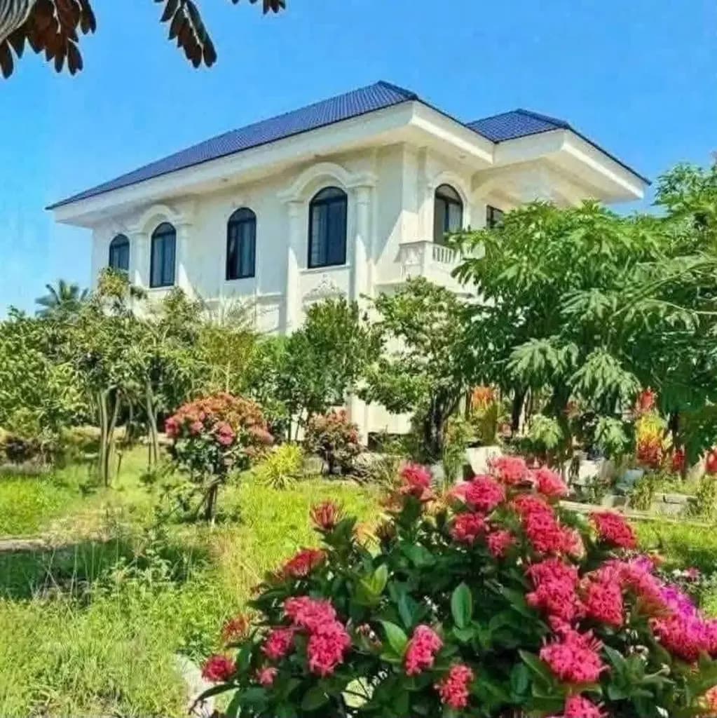 Main-Cho thuê Nhà riêng 1040m2 giá 15 triệu tại Phường Phú Tân Thành phố Bến Tre-3
