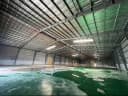 Thumb-Cho Thuê 3500m2 Xưởng Tân Uyên ,PCCC tự động G.tờ đầy đủ ,đường cont-3