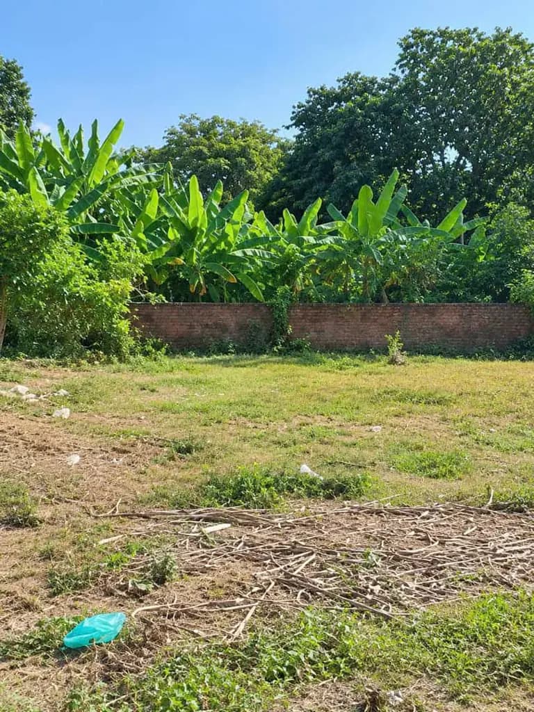 Main-Bán 3 lô đất thổ cư đường Song Hành, 5x24m, xã Tân Hiệp, giá gốc 2,7 Tỷ-2