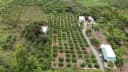 Thumb-Bán Đất 670m2 có sẵn 100 m2 thổ cư giá 450 triệu tại Xã Minh Hưng-2