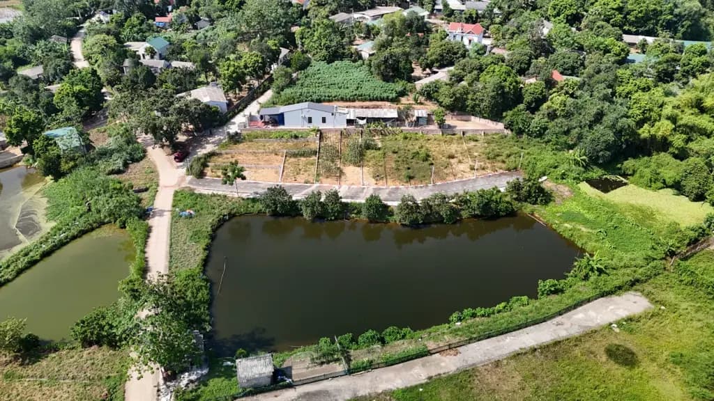 Main-Bán đất tại Phùng Hưng, Cẩm Lĩnh, Ba Vì, giá tốt 965 triệu, 101m2 full thổ cư-1