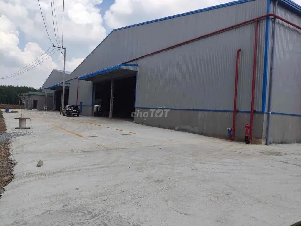 Main-Cho thuê Kho, nhà xưởng 5000m2 giá 330 triệu tại - Chọn - Xã Phước Hoà Huyện Phú Giáo Bình Dương-2