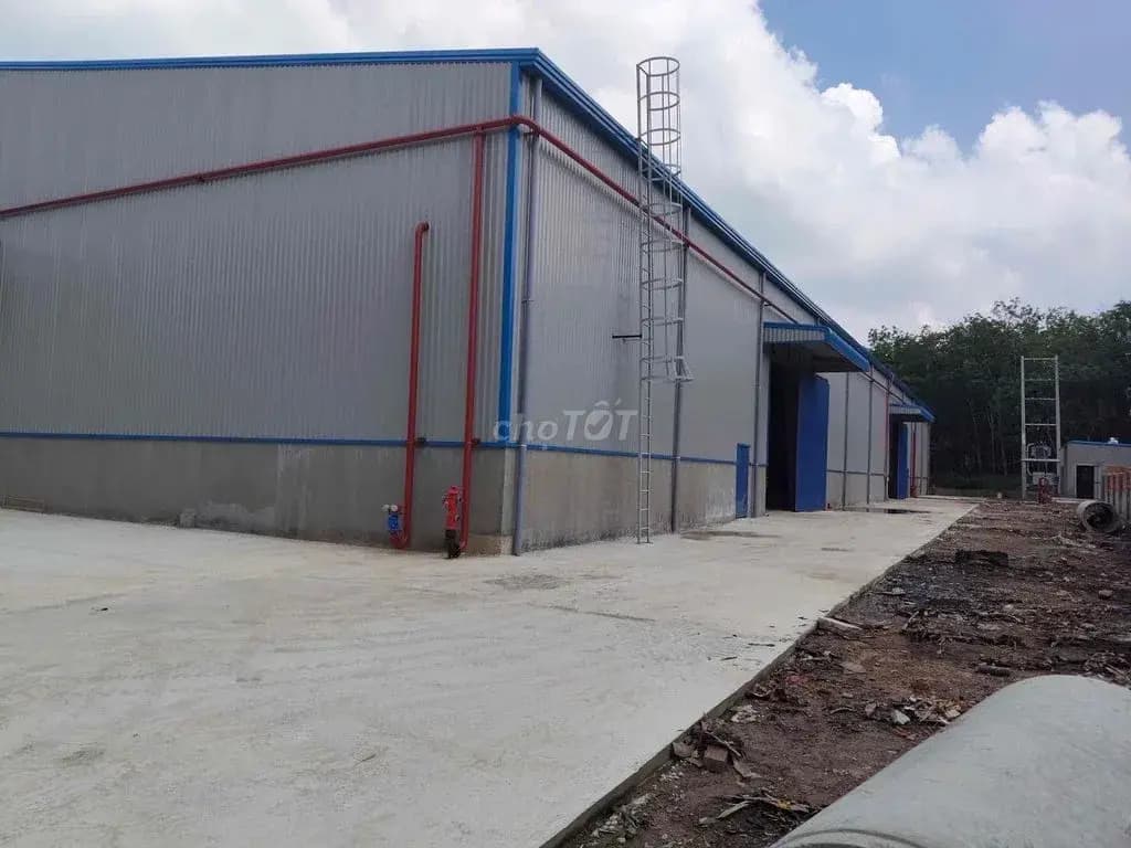 Main-Cho thuê Kho, nhà xưởng 5000m2 giá 330 triệu tại - Chọn - Xã Phước Hoà Huyện Phú Giáo Bình Dương-1