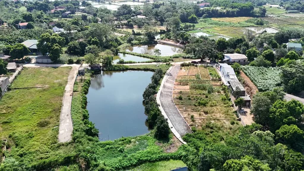 Main-Bán đất tại Phùng Hưng, Cẩm Lĩnh, Ba Vì, giá tốt 965 triệu, 101m2 full thổ cư-4