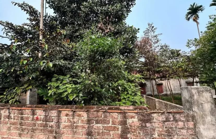 Bán Đất 100m2 có sẵn 100 m2 thổ cư giá 1.9 tỷ tại Phường Xuân Khanh Thị xã Sơn Tây Hà Nội