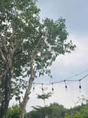 Thumb-CHÍNH CHỦ BÁN ĐẤT BIỆT THỰ VƯỜN 400M² GREENERGY HOUSE ĐẤT ĐỎ - 3.5 TỶ-1