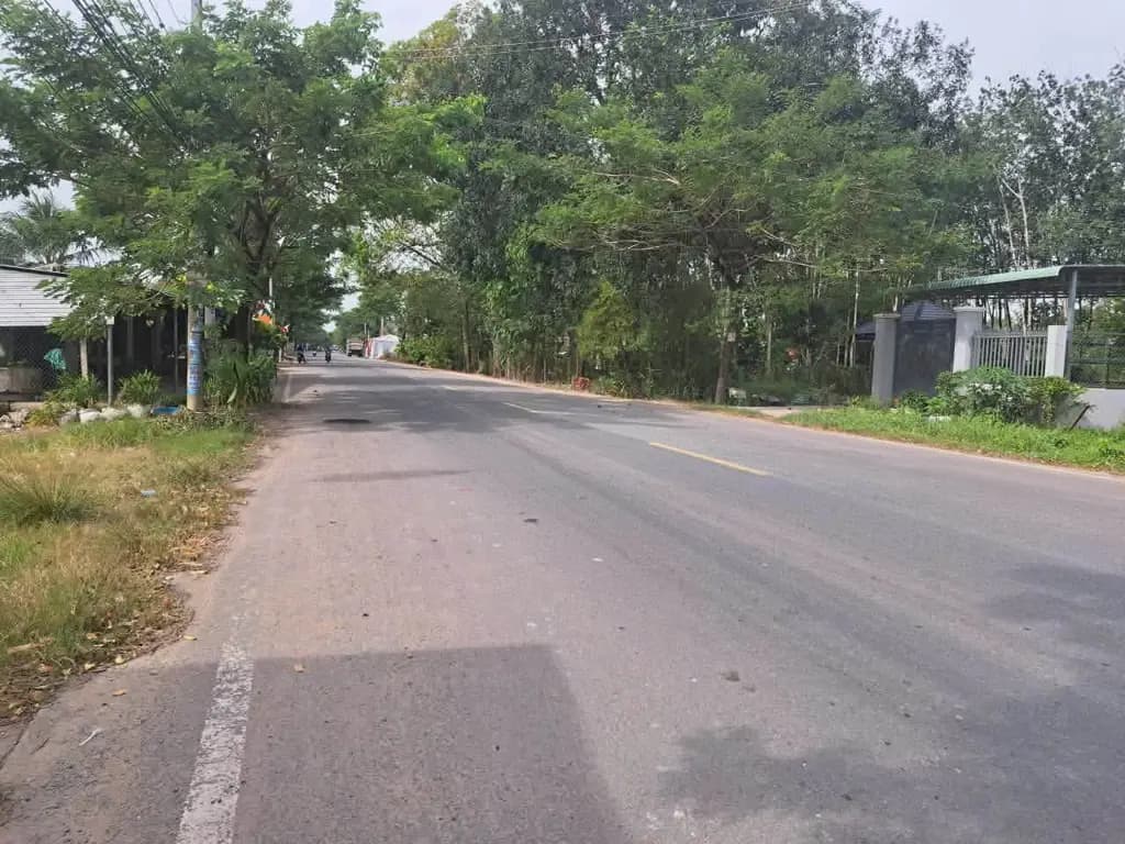Main-Bán 530m2 đất mặt tiền đường Cầu Sao Xã Thanh Phước Huyện Gò Dầu Tây Ninh-3