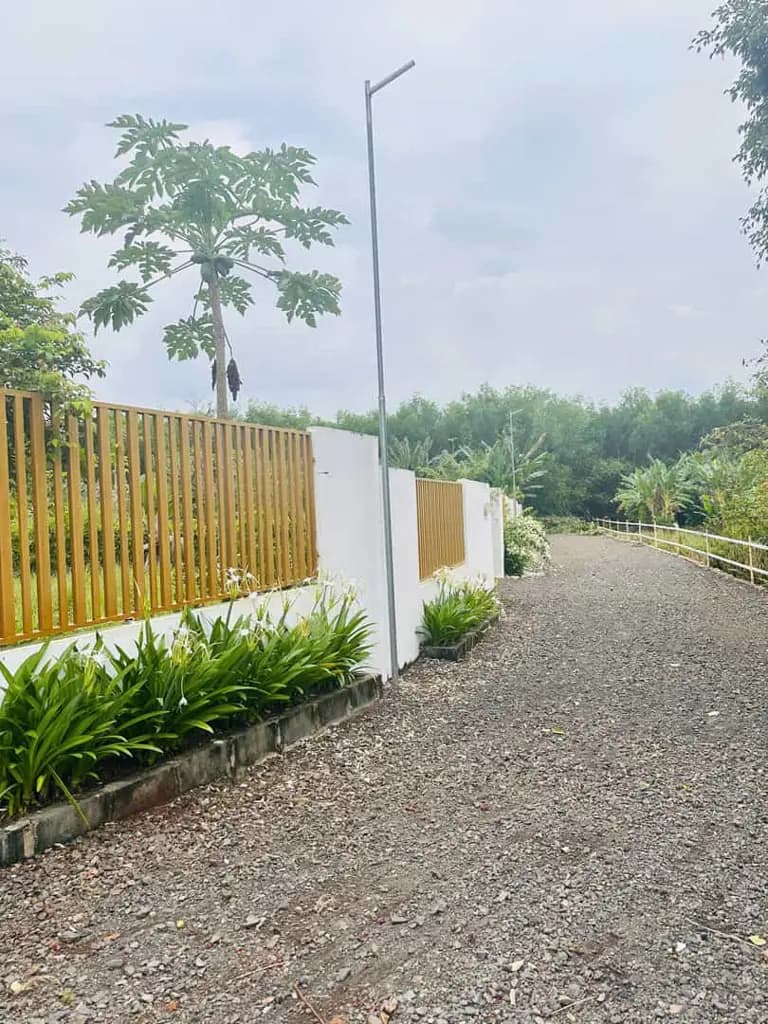 Main-ĐẤT VÀNG NGHỈ DƯỠNG LONG TÂN - CÙNG BẠN HIỆN THỰC HÓA GIẤC MƠ "BỎ PHỐ VỀ VƯỜN"-1