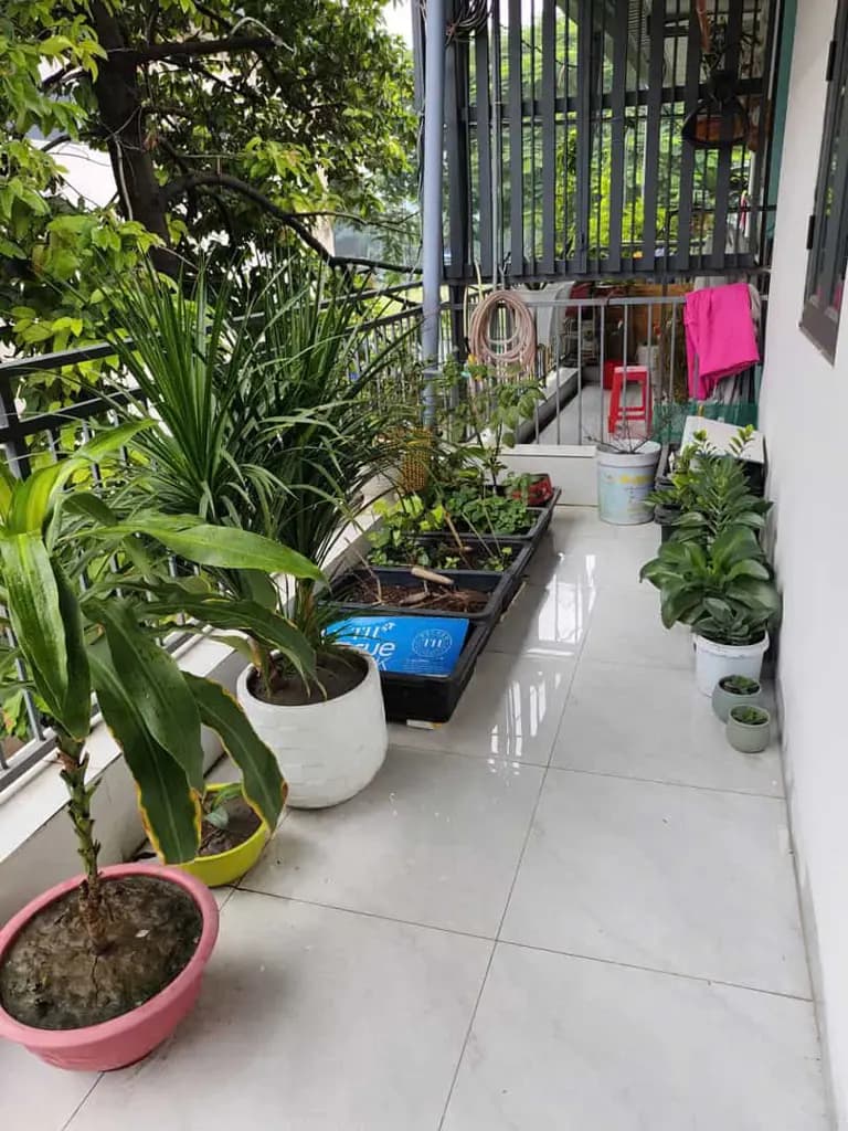 Main-bán nhà gần Vòng Xoay an Phú, TP.HCM (mới)-5