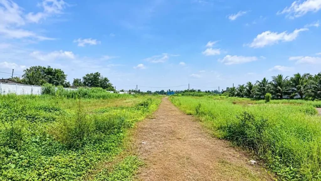 Main-🔥 SIÊU PHẨM BÃI 16.000M² MẶT TIỀN ĐT 927C & SÔNG 2.000 TẤN – GIẢM 50% GIÁ THUÊ-4