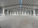 Thumb-Cho thuê Kho, nhà xưởng 2000m2 giá 180 triệu tại - Xã Hội Nghĩa Thị xã Tân Uyên Bình Dương-1