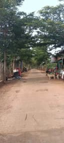 Thumb-BÁN LÔ ĐẤT 450M² – ĐẮK ĐOA, GIA LAI – CHỈ 900 TRIỆU-3
