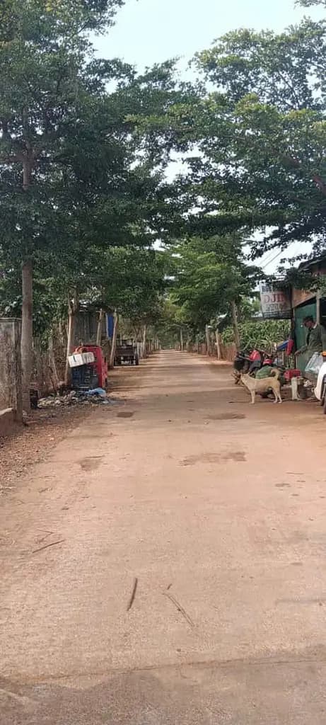 Main-BÁN LÔ ĐẤT 450M² – ĐẮK ĐOA, GIA LAI – CHỈ 900 TRIỆU-2