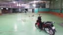 Thumb-NHÀ XƯỞNG CHO THUÊ ĐƯỜNG LÊ VĂN KHƯƠNG PHƯỜNG THỚI AN QUẬN 12 DT: 800M GIÁ 45 TRIÊU LH: 0908561228-1