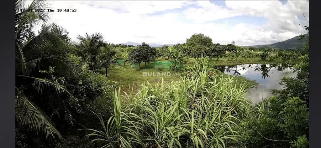 Main-Bán đất 15306m² ngang 100m giá 8.1 đ tại Xã Diên Lâm Huyện Diên Khánh-9